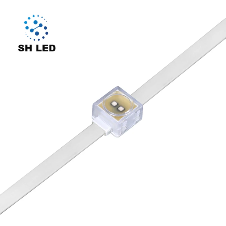 Park Lighting Smart LED Pixel